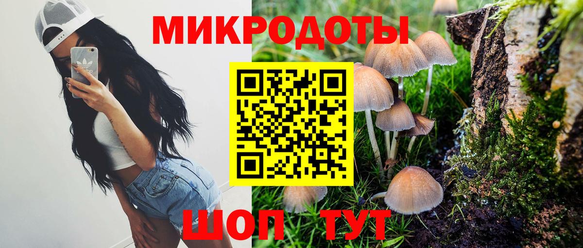 Псилоцибиновые грибы GOLDEN TEACHER Джанкой