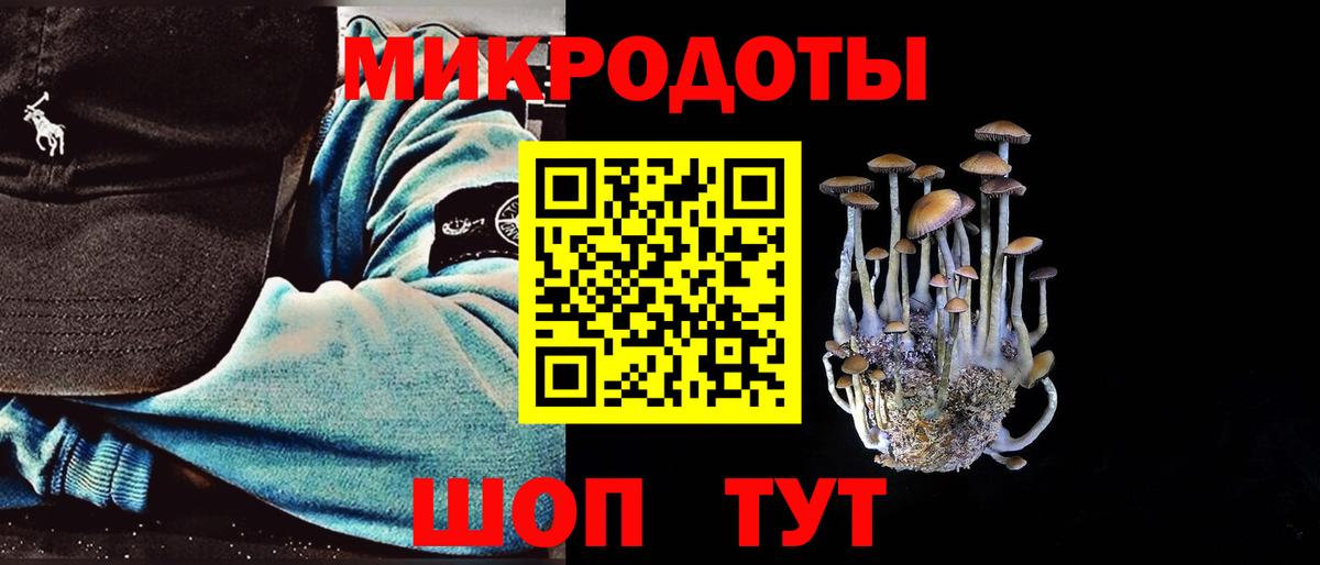 Псилоцибиновые грибы GOLDEN TEACHER  Вход с VPN  Джанкой 