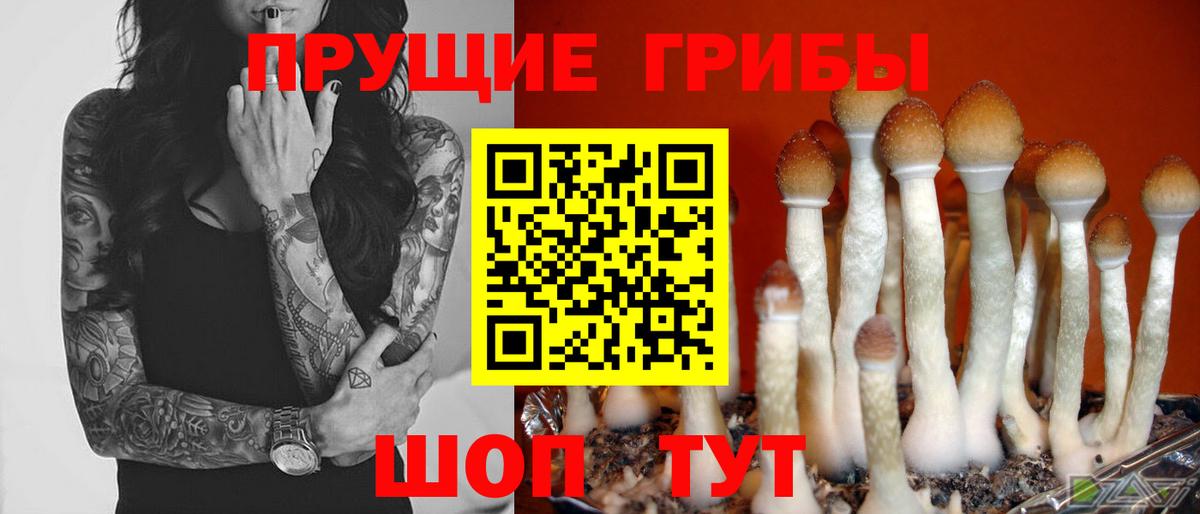 Галлюциногенные грибы Cubensis Джанкой